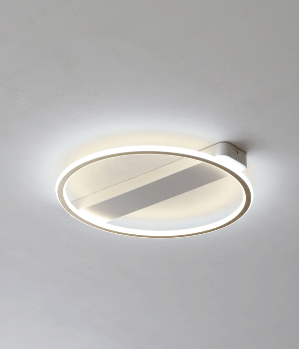 아밍B타입50W LED방등 안방전등