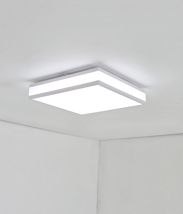 다니아 직부 센서등 베란다조명 현관센서등 복도조명 20W